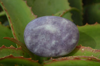 Polished Purple Lepidolite Palm Stones  x 12 From Zimbabwe