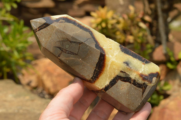 Polished Septarian (Calcite & Aragonite) Points x 2 From Mahajanga, Madagascar - TopRock