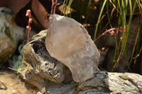 Natural New Smokey Quartz Crystal Specimens  x 6 From Mt. Mulanje, Malawi - TopRock