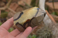 Polished Septaria (Yellow Calcite & Aragonite) Points x 2 From Mahajanga, Madagascar - TopRock