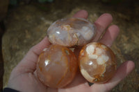 Polished Ocean  Flower Agate Palm Stones  x 12 From Madagascar