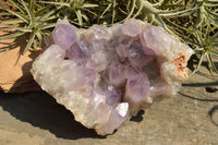 Natural Small Jacaranda Amethyst Quartz Vug Clusters  x 2 From Mumbwa, Zambia - TopRock