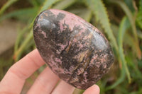 Polished  Pink & Black Rhodonite Standing Free Forms x 3 From Madagascar