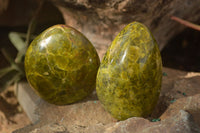 Polished  Green Opal Standing Free Forms  x 6 From Antsirabe, Madagascar