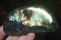 Polished Labradorite Standing Free Forms With Blue & Gold Flash  x 6 From Tulear, Madagascar - Toprock Gemstones and Minerals 