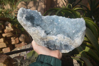 Natural Blue Celestite Geode Specimen  x 1 From Sakoany, Madagascar