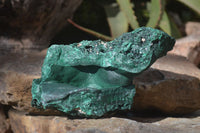 Natural Malachite Specimens x 2 From Congo