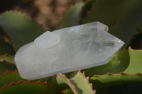 Polished Clear Quartz Crystal Points x 6 From Madagascar