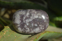 Polished Purple Lepidolite Palm Stones  x 12 From Zimbabwe