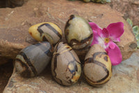 Polished Septaria Dragon's Eggs (Calcite & Aragonite) x 5 From Mahajanga, Madagascar - TopRock