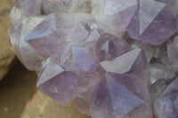 Natural Jacaranda Amethyst Cluster x 1 From Mumbwa, Zambia - TopRock