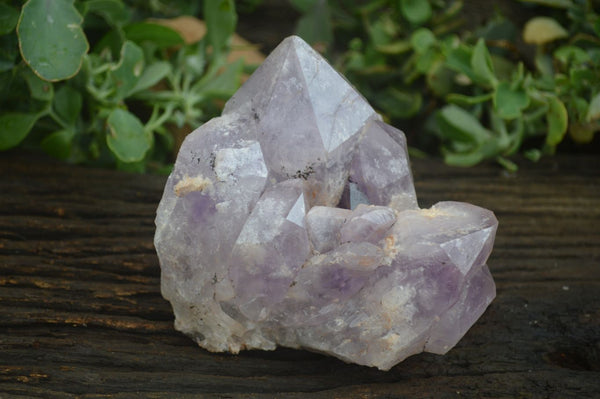 Natural Jacaranda Amethyst Cluster x 1 From Mumbwa, Zambia - TopRock