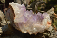 Natural Small Jacaranda Amethyst Quartz Vug Clusters  x 2 From Mumbwa, Zambia - TopRock