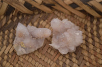 Natural White Cactus Flower Spirit Quartz Specimens x 70 From Boekenhouthoek, South Africa