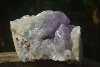 Natural Large Jacaranda Amethyst Cluster  x 1 From Mumbwa, Zambia - Toprock Gemstones and Minerals 