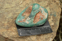 Polished Large Green Mtorolite / Chrome Chrysoprase Free Forms  x 6 From Mutorashanga, Zimbabwe - TopRock