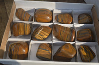 Polished Golden Tigers Eye Free Forms x 12 From Prieska, Northern Cape