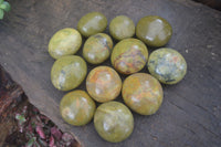 Polished Large Green Opal Palm Stones  x 12 From Madagascar - Toprock Gemstones and Minerals 