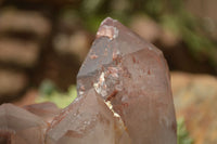 Natural Large Red Hematoid Phantom Quartz Cluster  x 1 From Karoi, Zimbabwe - TopRock