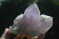 Natural Jacaranda Amethyst Clusters  x 3 From Mumbwa, Zambia - Toprock Gemstones and Minerals 