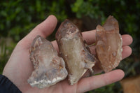 Natural Red Hematoid Quartz Specimens x 12 From Karoi, Zimbabwe - TopRock