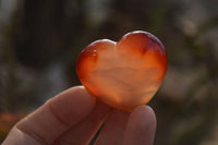 Polished Carnelian Agate Hearts  x 12 From Madagascar