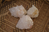 Natural White Cactus Flower Spirit Quartz Specimens x 70 From Boekenhouthoek, South Africa