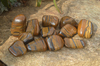 Polished Golden Tigers Eye Free Forms x 12 From Prieska, Northern Cape