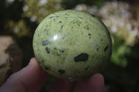 Polished Spotted Leopard Stone Free Forms  x 6 From Zimbabwe