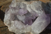 Natural Large Jacaranda Amethyst Cluster  x 1 From Mumbwa, Zambia - Toprock Gemstones and Minerals 