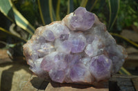 Natural Jacaranda Amethyst Cluster x 1 From Mumbwa, Zambia - TopRock