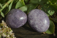 Polished Purple Lepidolite Palm Stones  x 12 From Zimbabwe