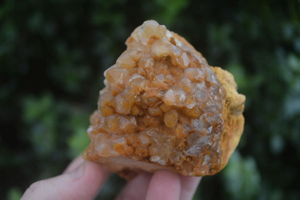 Natural Golden Limonite / Lemonite Quartz Clusters  x 12 From Zambia - Toprock Gemstones and Minerals 