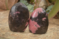 Polished  Pink & Black Rhodonite Standing Free Forms x 3 From Madagascar