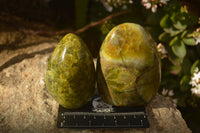 Polished  Green Opal Standing Free Forms  x 6 From Antsirabe, Madagascar