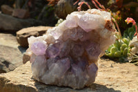 Natural Small Jacaranda Amethyst Quartz Vug Clusters  x 2 From Mumbwa, Zambia - TopRock