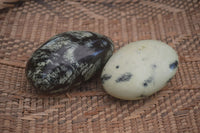 Polished Spotted Leopard Stone Free Forms  x 6 From Zimbabwe