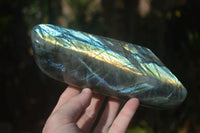 Polished Flashy Labradorite Standing Free Forms  x 3 From Tulear, Madagascar - Toprock Gemstones and Minerals 