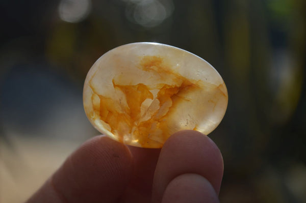 Polished Golden Healer Hematoid Quartz Galet / Palm Stones x 35 From Madagascar