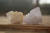 Natural White Cactus Flower Spirit Quartz Specimens x 70 From Boekenhouthoek, South Africa