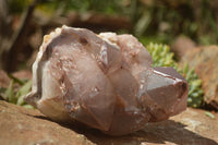 Natural Large Red Hematoid Phantom Quartz Cluster  x 1 From Karoi, Zimbabwe - TopRock