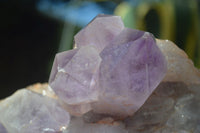 Natural Jacaranda Amethyst Cluster x 1 From Mumbwa, Zambia - TopRock