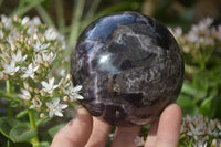 Polished Gorgeous Chevron Amethyst Spheres x 2 From Zambia