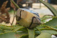 Polished Septaria (Yellow Calcite & Aragonite) Points x 2 From Mahajanga, Madagascar - TopRock