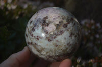 Polished  Pink Rubellite Tourmaline Spheres x 2 From Madagascar