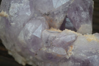 Natural Jacaranda Amethyst Cluster x 1 From Mumbwa, Zambia - TopRock