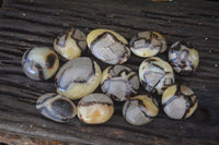 Polished Septaria Palm Stones x 12 From Mahajanga, Madagascar