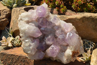 Natural Small Jacaranda Amethyst Quartz Vug Clusters  x 2 From Mumbwa, Zambia - TopRock