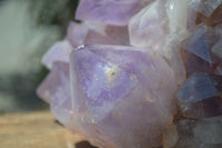 Natural Jacaranda Amethyst Cluster x 1 From Mumbwa, Zambia - TopRock