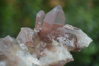 Natural Red Hematoid Phantom Quartz Crystals & Clusters  x 6 From Karoi, Zimbabwe - Toprock Gemstones and Minerals 